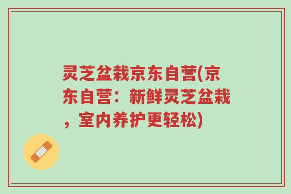 灵芝盆栽京东自营(京东自营：新鲜灵芝盆栽，室内养护更轻松)-第1张图片-超越