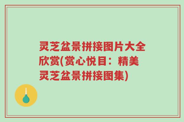 灵芝盆景拼接图片大全欣赏(赏心悦目:精美灵芝盆景拼接图集)-第1张图片-超越 灵芝盆景拼接图片大全欣赏(赏心悦目:精美灵芝盆景拼接图集)-第1张图片-超越