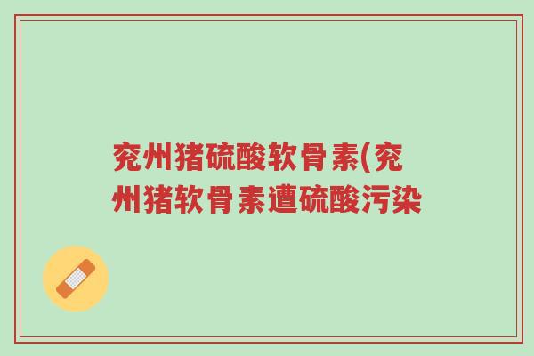 兖州猪硫酸软骨素(兖州猪软骨素遭硫酸污染-第1张图片-超越 兖州猪硫酸软骨素(兖州猪软骨素遭硫酸污染-第1张图片-超越