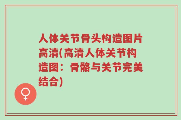 人体关节骨头构造图片高清(高清人体关节构造图:骨骼与关节完美结合)-第1张图片-超越 人体关节骨头构造图片高清(高清人体关节构造图:骨骼与关节完美结合)-第1张图片-超越