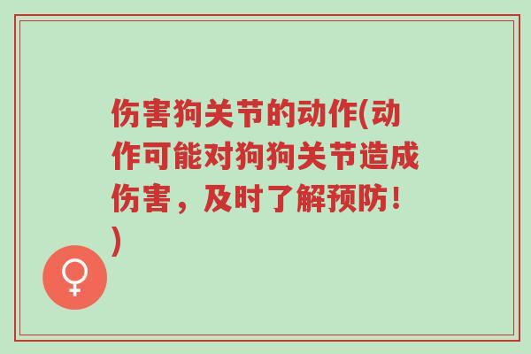 伤害狗关节的动作(动作可能对狗狗关节造成伤害,及时了解预防!)-第1张图片-超越 伤害狗关节的动作(动作可能对狗狗关节造成伤害,及时了解预防!)-第1张图片-超越
