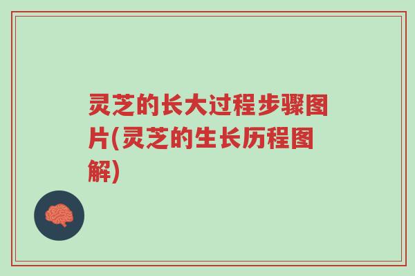 灵芝的长大过程步骤图片(灵芝的生长历程图解)-第1张图片-超越 灵芝的长大过程步骤图片(灵芝的生长历程图解)-第1张图片-超越