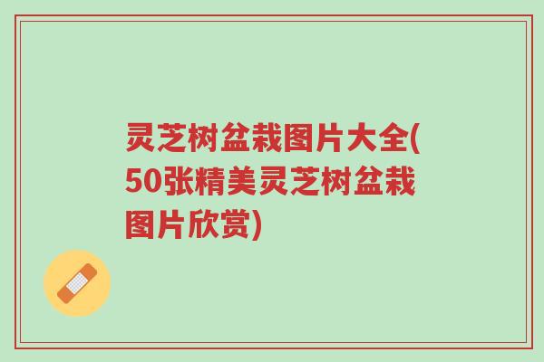 灵芝树盆栽图片大全(50张精美灵芝树盆栽图片欣赏)-第1张图片-超越 灵芝树盆栽图片大全(50张精美灵芝树盆栽图片欣赏)-第1张图片-超越