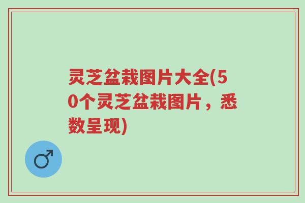 灵芝盆栽图片大全(50个灵芝盆栽图片,悉数呈现)-第1张图片-超越 灵芝盆栽图片大全(50个灵芝盆栽图片,悉数呈现)-第1张图片-超越