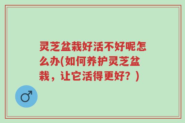 灵芝盆栽好活不好呢怎么办(如何养护灵芝盆栽,让它活得更好?)-第1张图片-超越 灵芝盆栽好活不好呢怎么办(如何养护灵芝盆栽,让它活得更好?)-第1张图片-超越