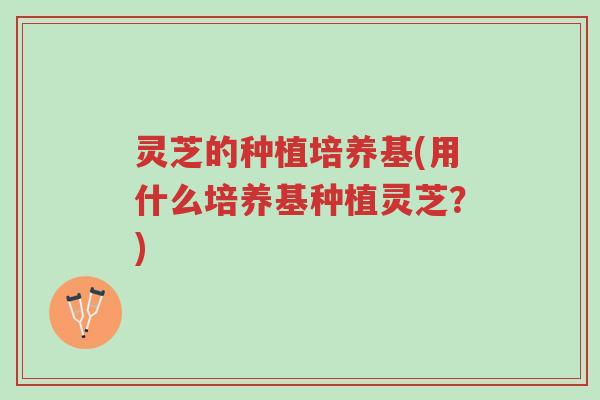 灵芝的种植培养基(用什么培养基种植灵芝?)-第1张图片-超越 灵芝的种植培养基(用什么培养基种植灵芝?)-第1张图片-超越