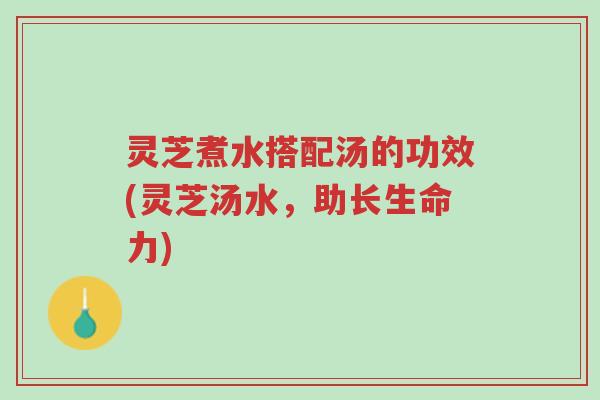 灵芝煮水搭配汤的功效(灵芝汤水,助长生命力)-第1张图片-超越 灵芝煮水搭配汤的功效(灵芝汤水,助长生命力)-第1张图片-超越