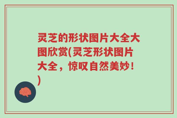 灵芝的形状图片大全大图欣赏(灵芝形状图片大全,惊叹自然美妙!)-第1张图片-超越 灵芝的形状图片大全大图欣赏(灵芝形状图片大全,惊叹自然美妙!)-第1张图片-超越