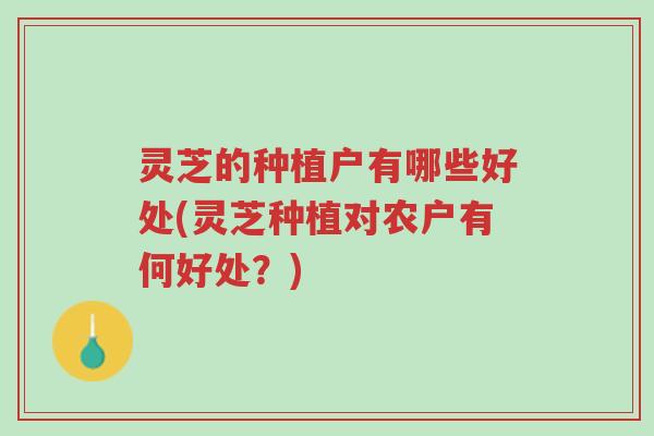 灵芝的种植户有哪些好处(灵芝种植对农户有何好处?)-第1张图片-超越 灵芝的种植户有哪些好处(灵芝种植对农户有何好处?)-第1张图片-超越