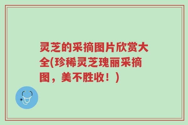 灵芝的采摘图片欣赏大全(珍稀灵芝瑰丽采摘图,美不胜收!)-第1张图片-超越 灵芝的采摘图片欣赏大全(珍稀灵芝瑰丽采摘图,美不胜收!)-第1张图片-超越