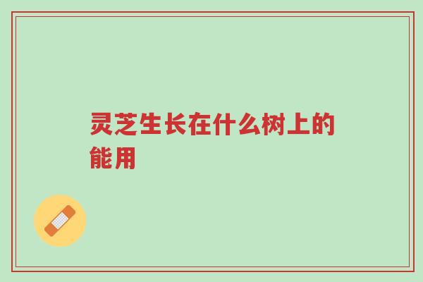 灵芝生长在什么树上的能用-第1张图片-超越 灵芝生长在什么树上的能用-第1张图片-超越