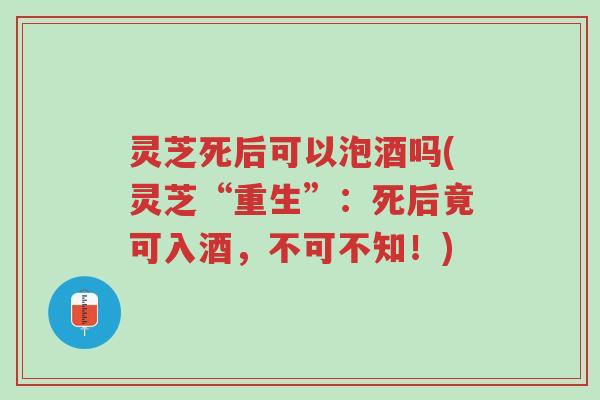 灵芝死后可以泡酒吗(灵芝“重生”：死后竟可入酒，不可不知！)-第1张图片-超越