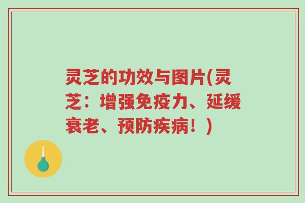 灵芝的功效与图片(灵芝:增强免疫力、延缓衰老、预防疾病!)-第1张图片-超越 灵芝的功效与图片(灵芝:增强免疫力、延缓衰老、预防疾病!)-第1张图片-超越