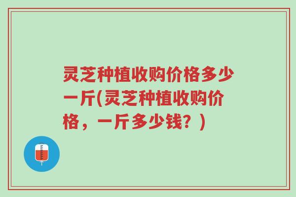 灵芝种植收购价格多少一斤(灵芝种植收购价格,一斤多少钱?)-第1张图片-超越 灵芝种植收购价格多少一斤(灵芝种植收购价格,一斤多少钱?)-第1张图片-超越