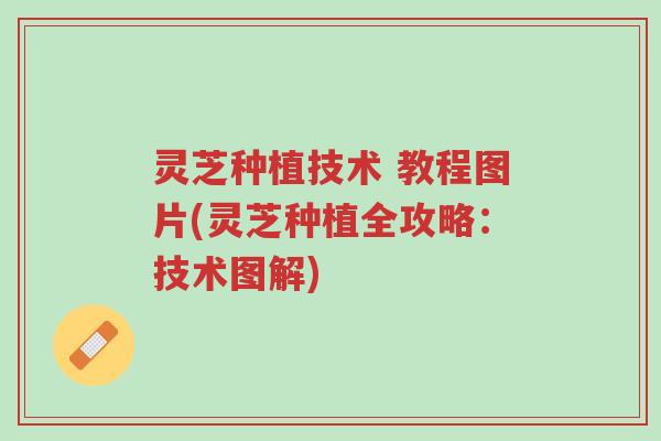 灵芝种植技术 教程图片(灵芝种植全攻略:技术图解)-第1张图片-超越 灵芝种植技术 教程图片(灵芝种植全攻略:技术图解)-第1张图片-超越
