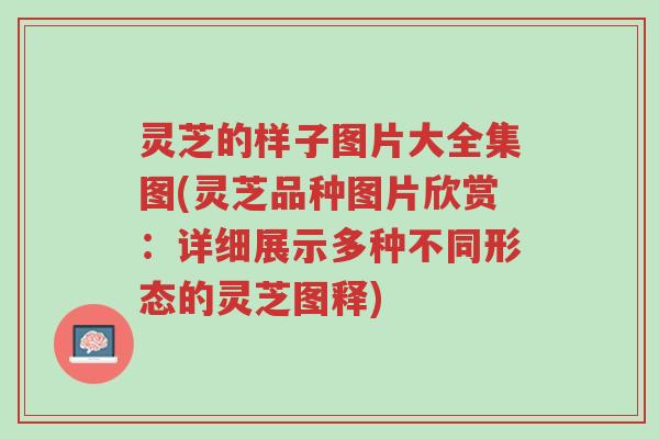 灵芝的样子图片大全集图(灵芝品种图片欣赏:详细展示多种不同形态的灵芝图释)-第1张图片-超越 灵芝的样子图片大全集图(灵芝品种图片欣赏:详细展示多种不同形态的灵芝图释)-第1张图片-超越