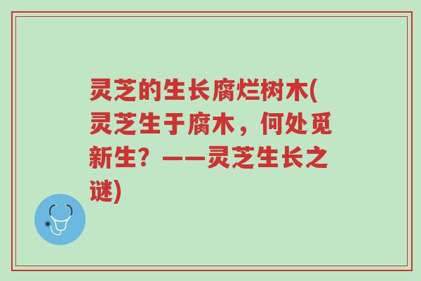 灵芝的生长腐烂树木(灵芝生于腐木,何处觅新生?——灵芝生长之谜)-第1张图片-超越 灵芝的生长腐烂树木(灵芝生于腐木,何处觅新生?——灵芝生长之谜)-第1张图片-超越