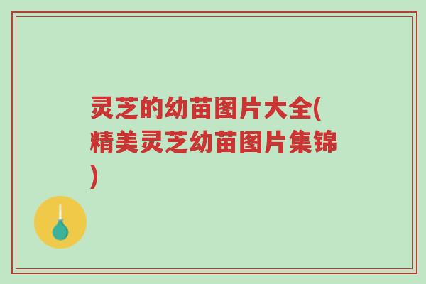 灵芝的幼苗图片大全(精美灵芝幼苗图片集锦)-第1张图片-超越 灵芝的幼苗图片大全(精美灵芝幼苗图片集锦)-第1张图片-超越