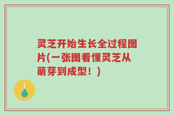 灵芝开始生长全过程图片(一张图看懂灵芝从萌芽到成型!)-第1张图片-超越 灵芝开始生长全过程图片(一张图看懂灵芝从萌芽到成型!)-第1张图片-超越