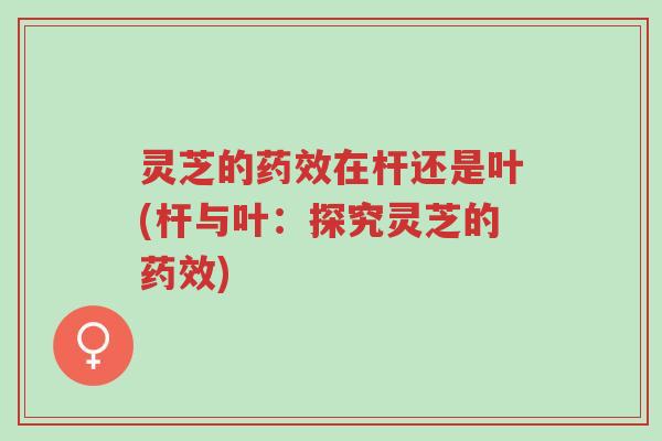 灵芝的药效在杆还是叶(杆与叶:探究灵芝的药效)-第1张图片-超越 灵芝的药效在杆还是叶(杆与叶:探究灵芝的药效)-第1张图片-超越