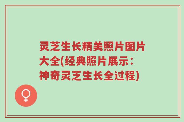 灵芝生长精美照片图片大全(经典照片展示:神奇灵芝生长全过程)-第1张图片-超越 灵芝生长精美照片图片大全(经典照片展示:神奇灵芝生长全过程)-第1张图片-超越