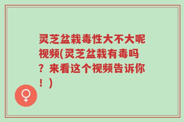 灵芝盆栽毒性大不大呢视频(灵芝盆栽有毒吗?来看这个视频告诉你!)-第1张图片-超越 灵芝盆栽毒性大不大呢视频(灵芝盆栽有毒吗?来看这个视频告诉你!)-第1张图片-超越