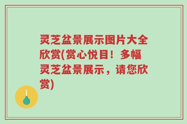 灵芝盆景展示图片大全欣赏(赏心悦目!多幅灵芝盆景展示,请您欣赏)-第1张图片-超越 灵芝盆景展示图片大全欣赏(赏心悦目!多幅灵芝盆景展示,请您欣赏)-第1张图片-超越