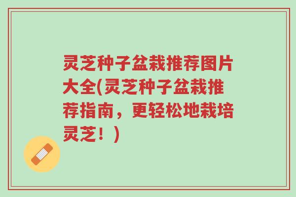 灵芝种子盆栽推荐图片大全(灵芝种子盆栽推荐指南，更轻松地栽培灵芝！)-第1张图片-超越
