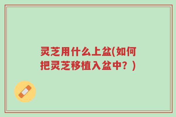灵芝用什么上盆(如何把灵芝移植入盆中?)-第1张图片-超越 灵芝用什么上盆(如何把灵芝移植入盆中?)-第1张图片-超越