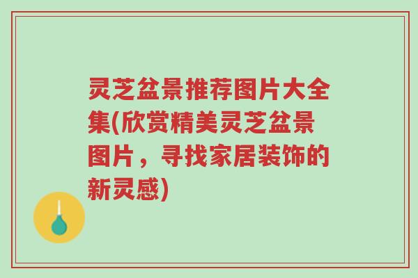 灵芝盆景推荐图片大全集(欣赏精美灵芝盆景图片,寻找家居装饰的新灵感)-第1张图片-超越 灵芝盆景推荐图片大全集(欣赏精美灵芝盆景图片,寻找家居装饰的新灵感)-第1张图片-超越