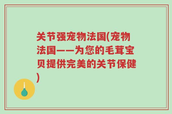 关节强宠物法国(宠物法国——为您的毛茸宝贝提供完美的关节保健)-第1张图片-超越 关节强宠物法国(宠物法国——为您的毛茸宝贝提供完美的关节保健)-第1张图片-超越