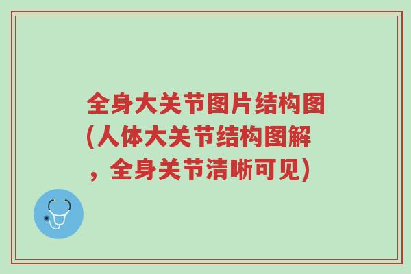 全身大关节图片结构图(人体大关节结构图解,全身关节清晰可见)-第1张图片-超越 全身大关节图片结构图(人体大关节结构图解,全身关节清晰可见)-第1张图片-超越