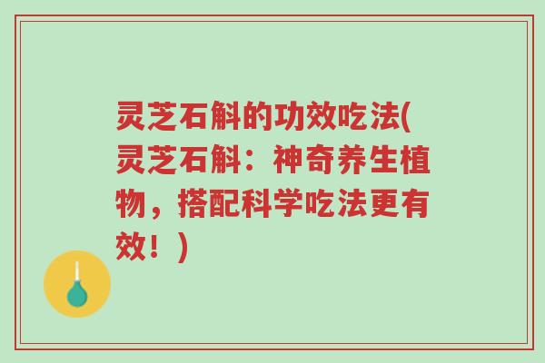 灵芝石斛的功效吃法(灵芝石斛:神奇养生植物,搭配科学吃法更有效!)-第1张图片-超越 灵芝石斛的功效吃法(灵芝石斛:神奇养生植物,搭配科学吃法更有效!)-第1张图片-超越