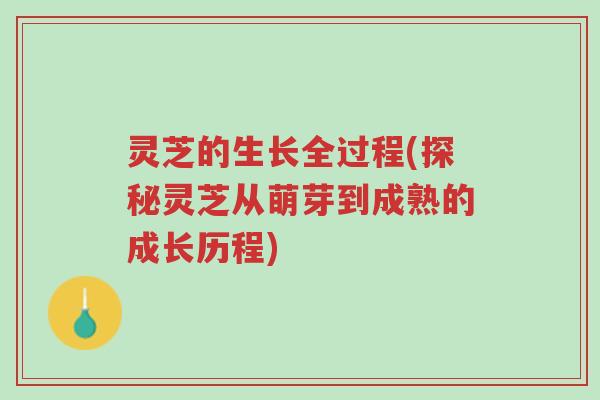 灵芝的生长全过程(探秘灵芝从萌芽到成熟的成长历程)-第1张图片-超越 灵芝的生长全过程(探秘灵芝从萌芽到成熟的成长历程)-第1张图片-超越