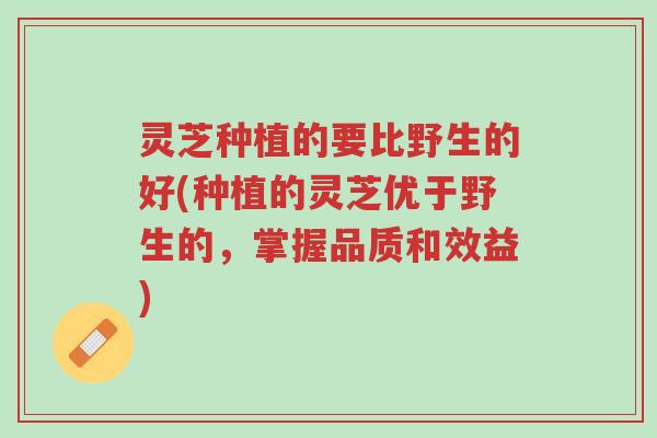 灵芝种植的要比野生的好(种植的灵芝优于野生的,掌握品质和效益)-第1张图片-超越 灵芝种植的要比野生的好(种植的灵芝优于野生的,掌握品质和效益)-第1张图片-超越