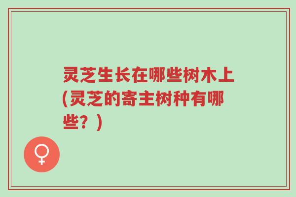灵芝生长在哪些树木上(灵芝的寄主树种有哪些？)-第1张图片-超越