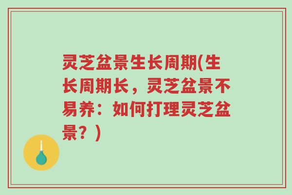 灵芝盆景生长周期(生长周期长,灵芝盆景不易养:如何打理灵芝盆景?)-第1张图片-超越 灵芝盆景生长周期(生长周期长,灵芝盆景不易养:如何打理灵芝盆景?)-第1张图片-超越
