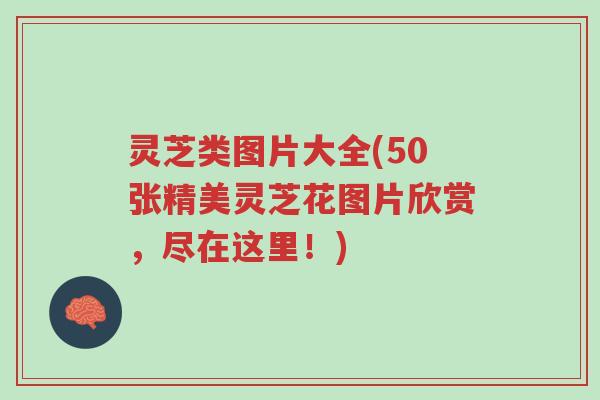 灵芝类图片大全(50张精美灵芝花图片欣赏,尽在这里!)-第1张图片-超越 灵芝类图片大全(50张精美灵芝花图片欣赏,尽在这里!)-第1张图片-超越