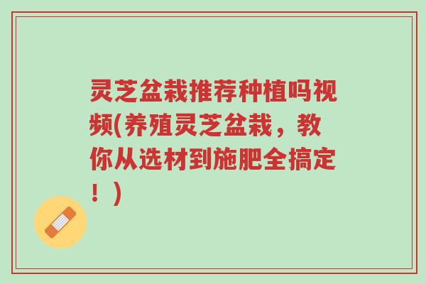 灵芝盆栽推荐种植吗视频(养殖灵芝盆栽，教你从选材到施肥全搞定！)-第1张图片-超越