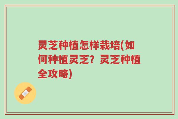 灵芝种植怎样栽培(如何种植灵芝？灵芝种植全攻略)-第1张图片-超越