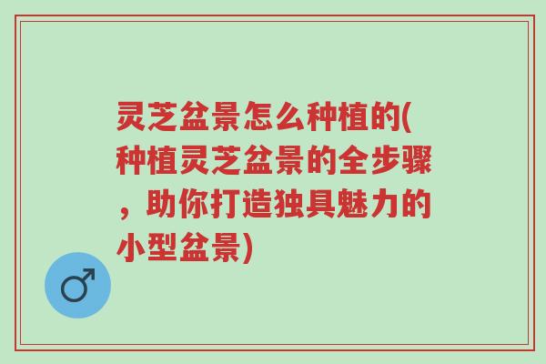 灵芝盆景怎么种植的(种植灵芝盆景的全步骤，助你打造独具魅力的小型盆景)-第1张图片-超越