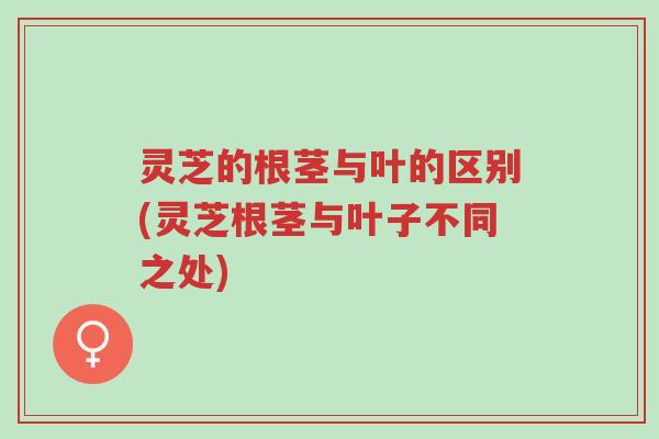 灵芝的根茎与叶的区别(灵芝根茎与叶子不同之处)-第1张图片-超越 灵芝的根茎与叶的区别(灵芝根茎与叶子不同之处)-第1张图片-超越