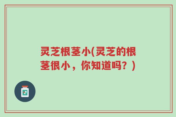 灵芝根茎小(灵芝的根茎很小,你知道吗?)-第1张图片-超越 灵芝根茎小(灵芝的根茎很小,你知道吗?)-第1张图片-超越