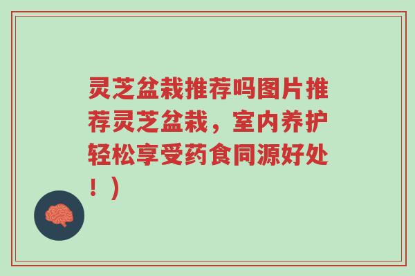 灵芝盆栽推荐吗图片推荐灵芝盆栽，室内养护轻松享受药食同源好处！)-第1张图片-超越