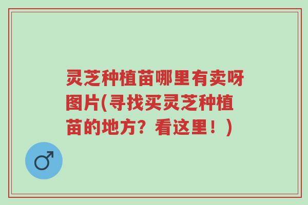 灵芝种植苗哪里有卖呀图片(寻找买灵芝种植苗的地方？看这里！)-第1张图片-超越
