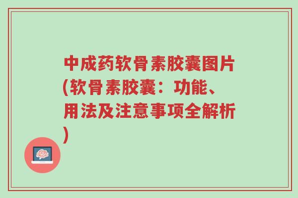 中成药软骨素胶囊图片(软骨素胶囊:功能、用法及注意事项全解析)-第1张图片-超越 中成药软骨素胶囊图片(软骨素胶囊:功能、用法及注意事项全解析)-第1张图片-超越