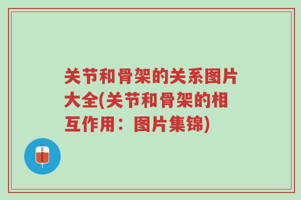 关节和骨架的关系图片大全(关节和骨架的相互作用:图片集锦)-第1张图片-超越 关节和骨架的关系图片大全(关节和骨架的相互作用:图片集锦)-第1张图片-超越