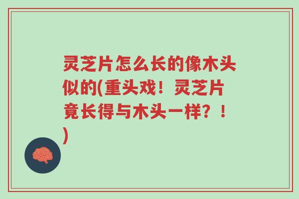 灵芝片怎么长的像木头似的(重头戏!灵芝片竟长得与木头一样?!)-第1张图片-超越 灵芝片怎么长的像木头似的(重头戏!灵芝片竟长得与木头一样?!)-第1张图片-超越
