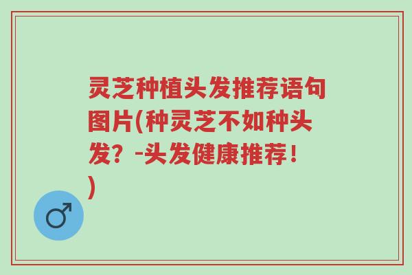 灵芝种植头发推荐语句图片(种灵芝不如种头发?-头发健康推荐!)-第1张图片-超越 灵芝种植头发推荐语句图片(种灵芝不如种头发?-头发健康推荐!)-第1张图片-超越
