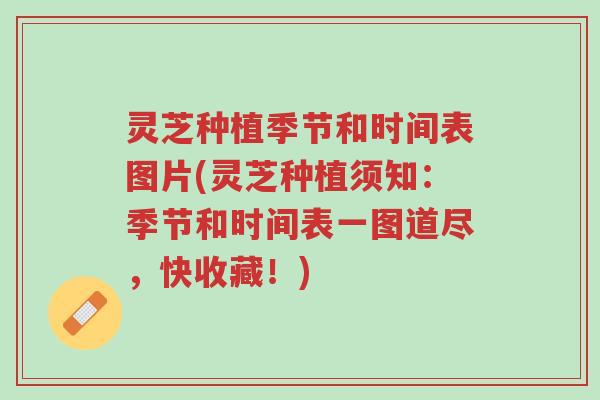 灵芝种植季节和时间表图片(灵芝种植须知:季节和时间表一图道尽,快收藏!)-第1张图片-超越 灵芝种植季节和时间表图片(灵芝种植须知:季节和时间表一图道尽,快收藏!)-第1张图片-超越